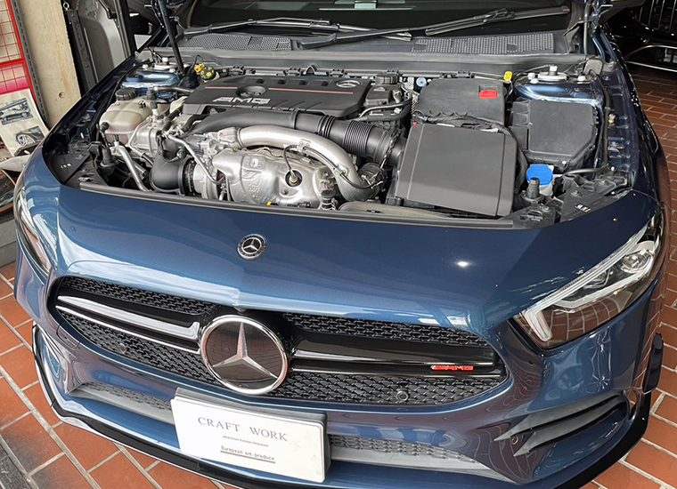A35�f�j���u���[(�����)